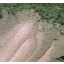 Gyöngyház hatású mica pigment por - fügekaktusz, 250g