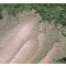 Gyöngyház hatású mica pigment por - fügekaktusz, 45g