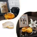 Let's Resin szilikon öntőforma - kisállatos emlékőr